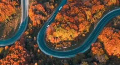 Bursa ormanları'nda sonbaharda renk cümbüşü