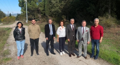 Bursa tarımına akademik bakış