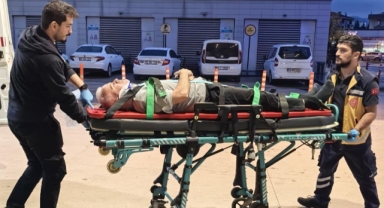 Ceviz ağacından düşen adam ağır yaralandı