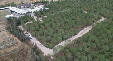 İnegöl Belediyesi'nden can dostlarına yeni yuva