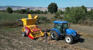 İnegöl'de Cerrah kuru fasulyesinde hasat başladı