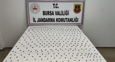 Jandarma'dan İznik'te tarihi operasyon