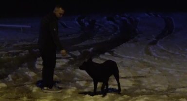 Kar yağdığını gören soluğu Uludağ'da aldı