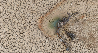 Kestel ve Gürsu Ovaları alarm veriyor