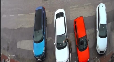 Komşularını canından bezdirdi