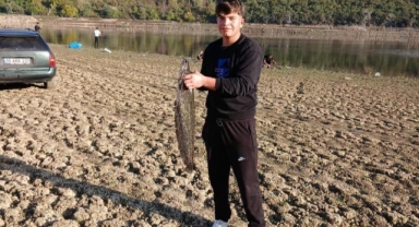 Kuruyan gölde yayın avı