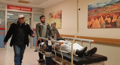 Mantar yedi hastanelik oldu