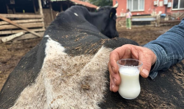 Şap hastalığı besicileri vurdu