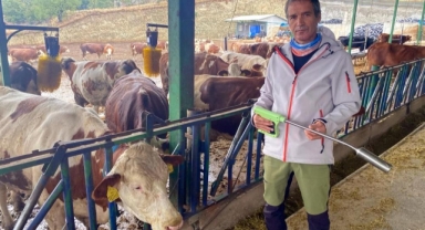 Yapay zeka süt hayvancılığında çığır açtı