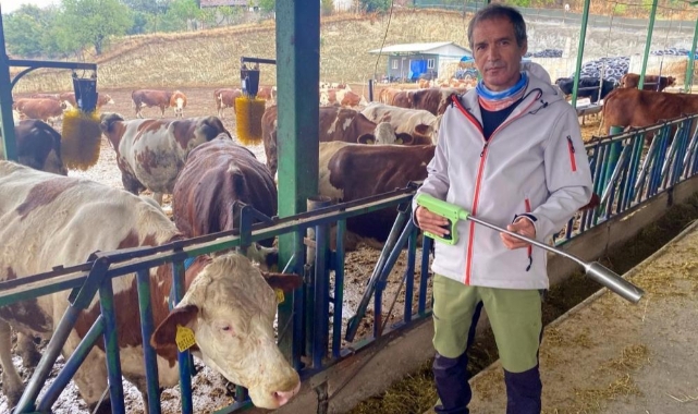 Yapay zeka süt hayvancılığında çığır açtı