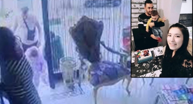 Böcek ailesinin ölüm nedeni belli oldu