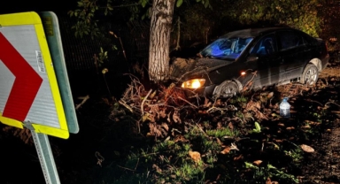 Kontrolden çıkan otomobil ağaca çarptı: 3 yaralı