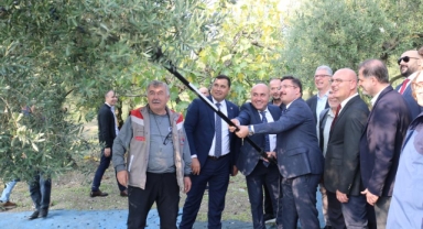 Marmarabirlik'ten 70 bin tonluk alım hedefi