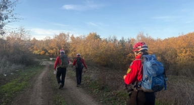 Ormanda kaybolan şahıs sağ olarak bulundu
