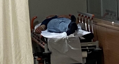 Ormandaki mantarları yiyen 7 kişi hastanelik oldu