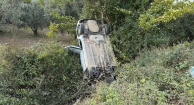 Sollama yaparken zeytinliğe uçtu