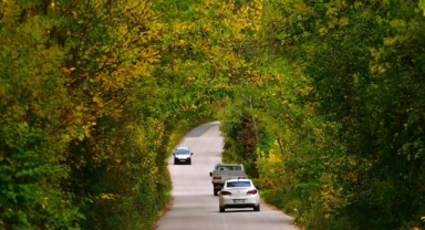 Sonbaharın renk cümbüşü Uludağ eteklerinde