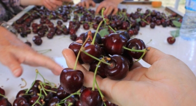 15 Aralık'ta okullarda