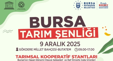 Bursa'nın lezzetleri gün yüzüne çıkıyor