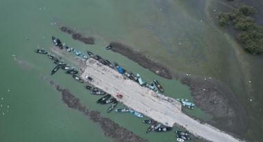 Karacabey'de çeltik ekimi yasaklandı