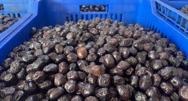 Marmarabirlik’ten 622 milyon TL’lik ödeme