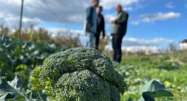 Tarlada 10 lira pazarda 70 lira