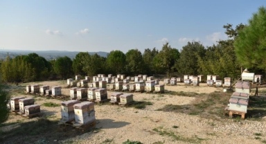 Yılda 10 ton üretiliyor 100 ton sahtesi satılıyor