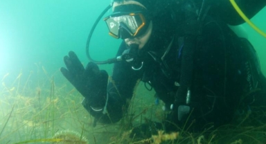 Belediye Başkanlarına Marmara Denizi'ne dalış çağrısı
