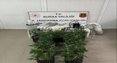 İnegöl'de evde esrar üretim düzeneği ele geçirildi