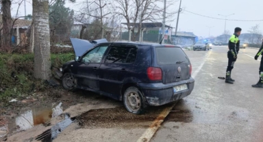 Kontrolden çıkan otomobil ağaca çarptı: 2 yaralı