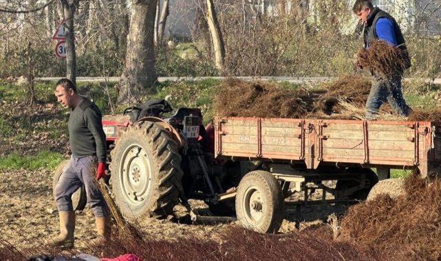 Kurulan her meyve bahçesinde