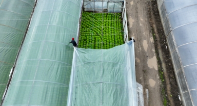 Lodostan zarar gören seralara Büyükşehir desteği
