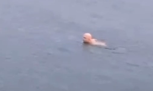Mudanya'da dondurucu soğukta deniz keyfi