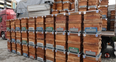 Büyükşehir'den arıcılara kovan desteği