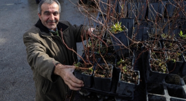 Büyükşehir’le kırsal büyüyor çiftçi güçleniyor