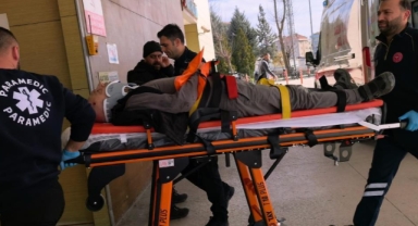 Ceviz ağacından düşen yaşlı adam ağır yaralandı