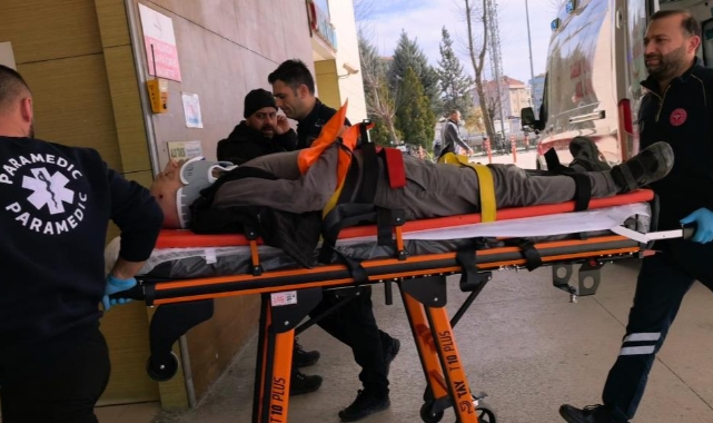 Ceviz ağacından düşen yaşlı adam ağır yaralandı