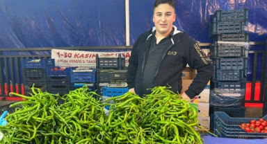 Seraları su basınca sivri biber ve salatalığın ateşi yükseldi