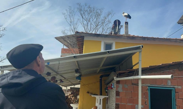 Yaren leyleğin eşi Leylek köyündeki yuvaya geldi