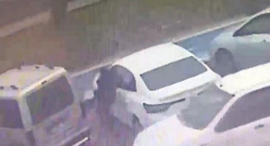 Araç faresi yakayı ele verdi