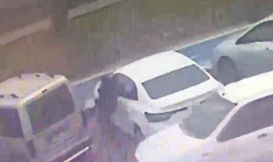 Araç faresi yakayı ele verdi