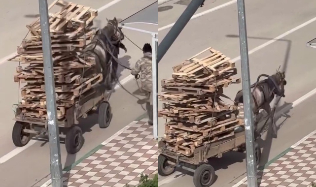 At arabasına kat kat palet yüklediler