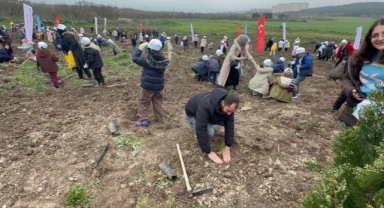 Bursa'da 2 yıl önce yanan 80 hektarlık alan ağaçlandırıldı