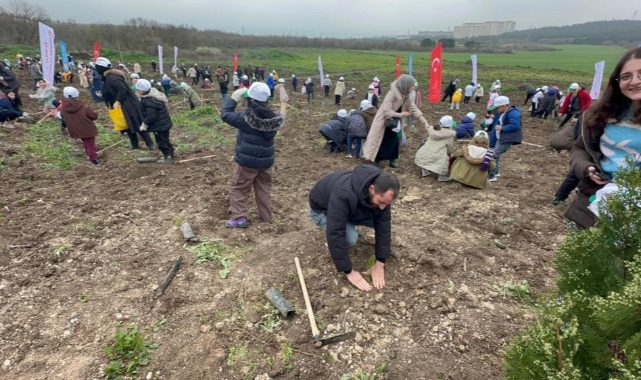Bursa'da 2 yıl önce yanan 80 hektarlık alan ağaçlandırıldı