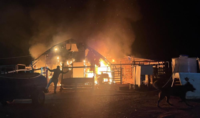 İnegöl'de çiftlikte yangın:580 kanatlı hayvan telef oldu