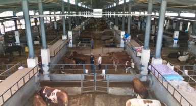 İnegöl'de hayvan pazarının kotra ihale tarihi belli oldu