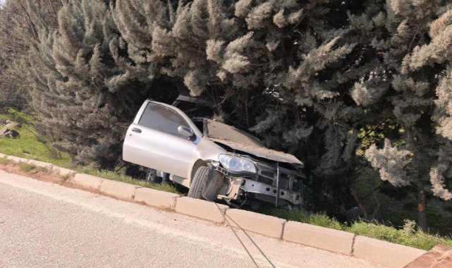 Kontrolden çıkan otomobil ağaçlık alana uçtu: 1 yaralı