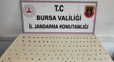 Mudanya'da 137 adet sikke ele geçirildi