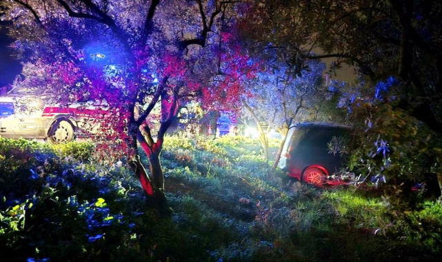 Mudanya’da kazadan kaçan sürücü zeytinliğe daldı