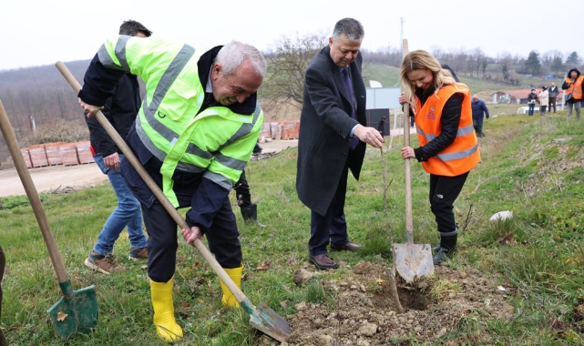 Nilüfer Belediyesi atıl arazilerini orman'a dönüştürüyor